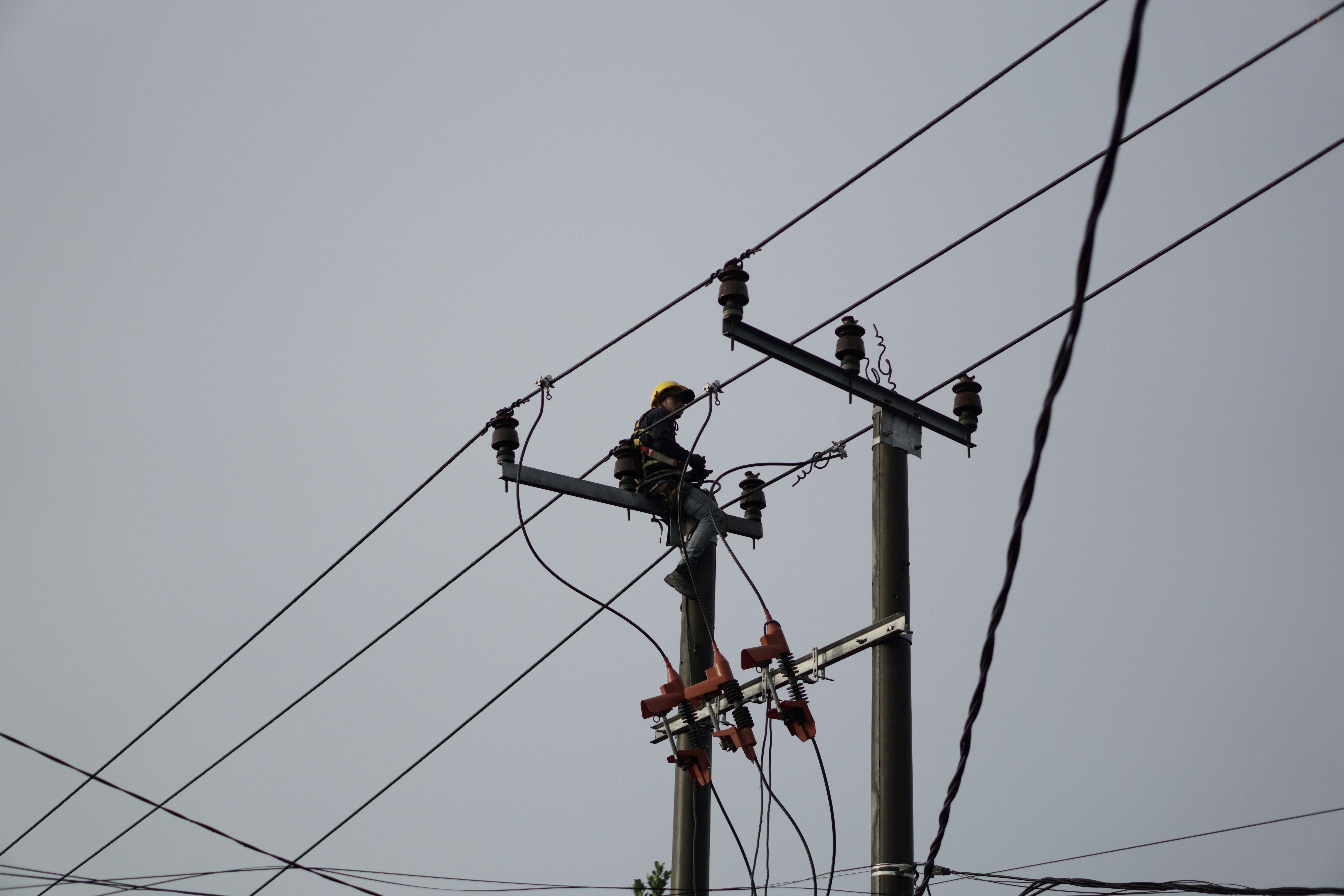 LT Electrical Works